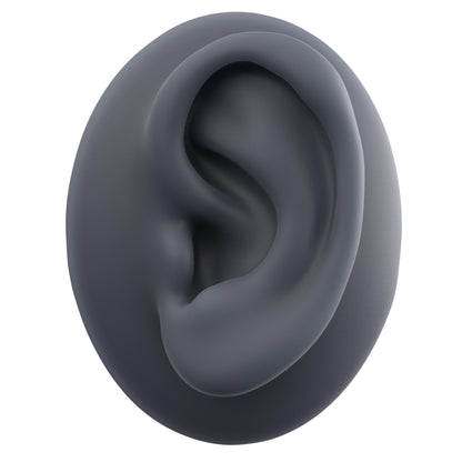 human ear