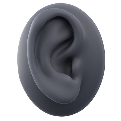 human ear