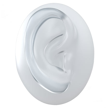 human ear